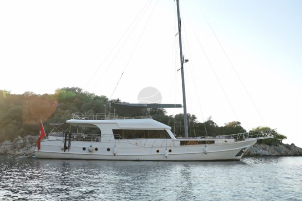 ALBATROS M