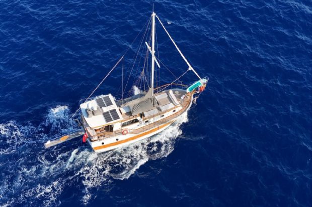 ANKA 35.