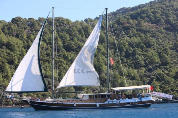 ÇINARIM 
