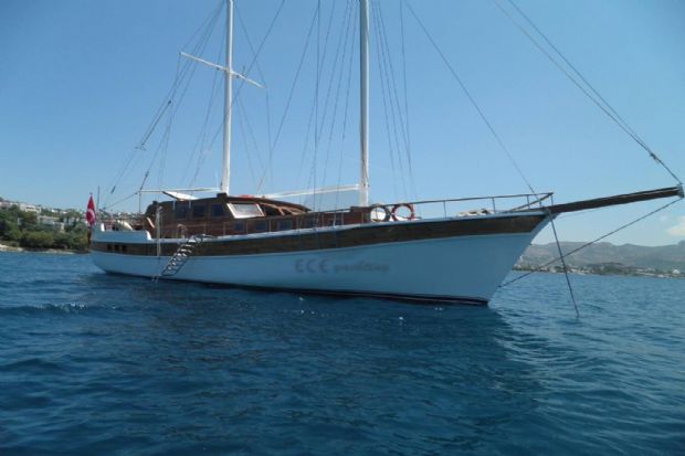 COTYORA