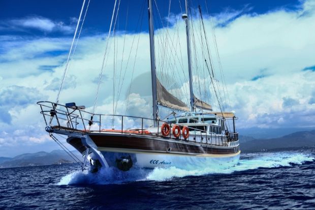ECE ARINA