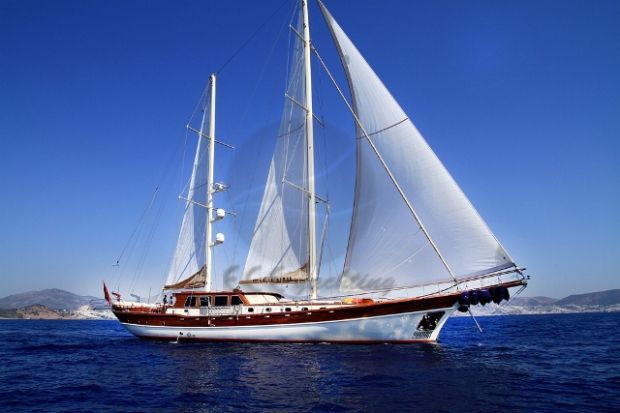 ESTRELLA DE MAR