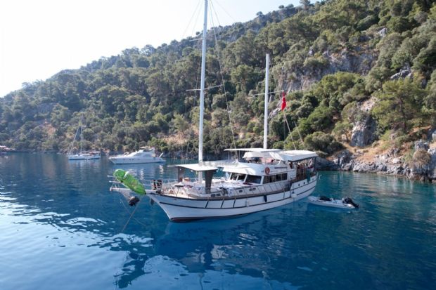 SAFI SULTAN