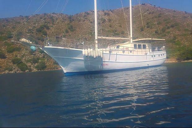 ZİYA EFE