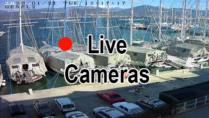 Live Cameras